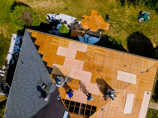 Best Roof Repair Services  in Hazlehurst, GA