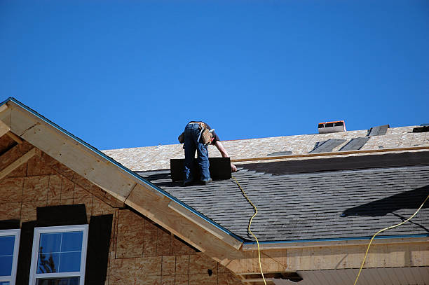 Best Roof Gutter Cleaning  in Hazlehurst, GA