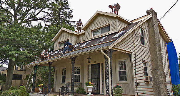 Best Gutter Installation and Roofing  in Hazlehurst, GA